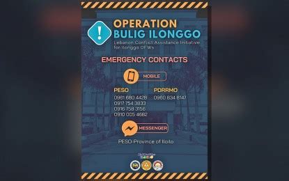 www.coa portal.gov.ph|65 Ilonggos working in Lebanon safe .
